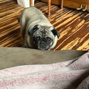 Meet your Posher, Kim